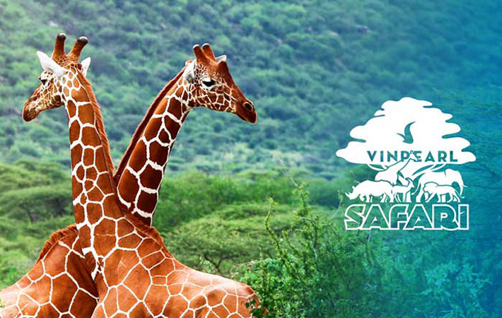 Tour Phú Quốc 3N2Đ : Bãi Sao - VinPearl - Safari